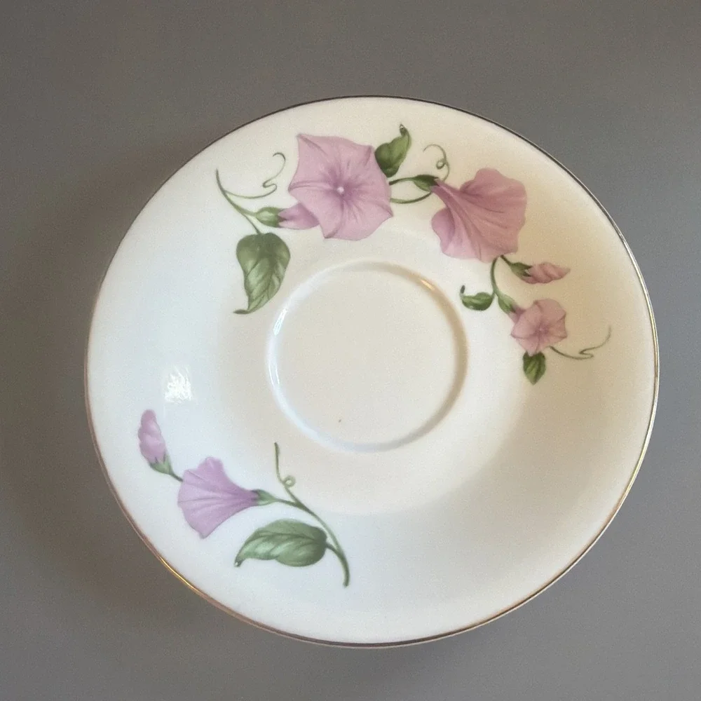 Vintage 1990's Teleflora Gift Tea Cup& Saucer- Floral Morning Glory Pink